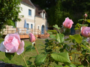 Maison de caractère 1840 en Touraine avec grand jardin, pêche, à proximité de Loches et châteaux. - FR-1-381-558